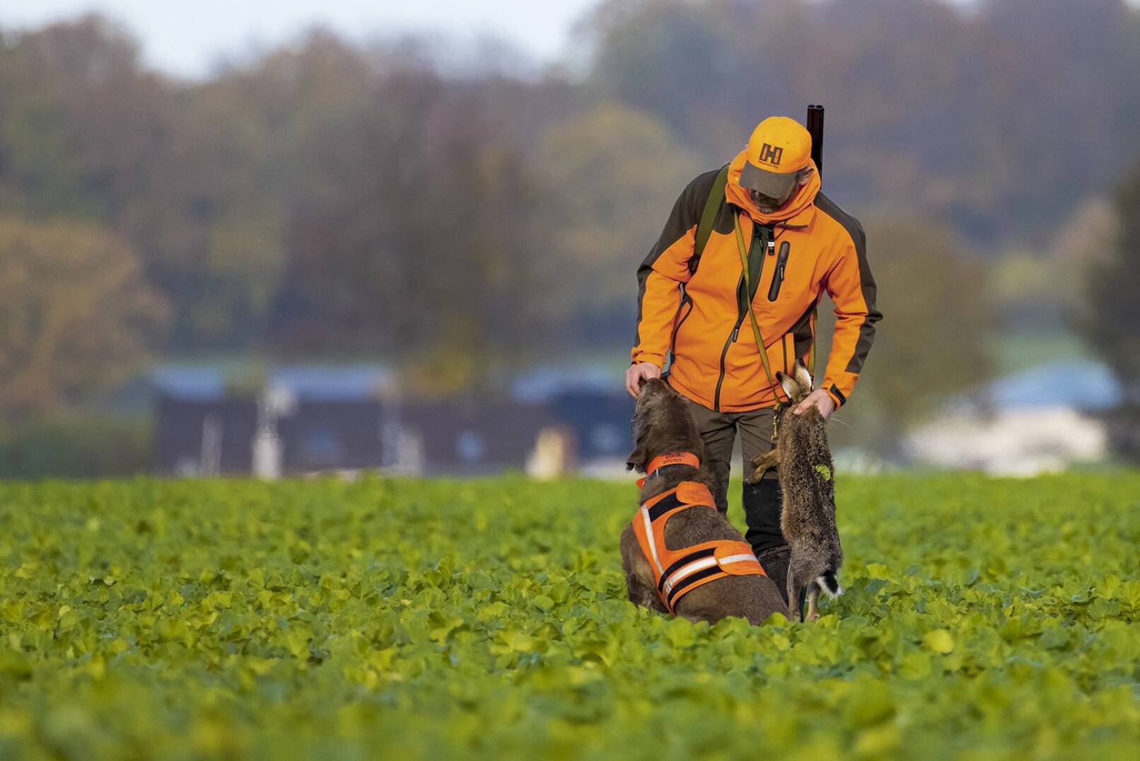 Die Niederwild-Jagdsaison hat begonnen - Bei der Niederwildjagd sollten unbedingt genug gute Hunde­führer mit ebenso guten Hunden zur Ver­fügung stehen. - © Horst Jegen