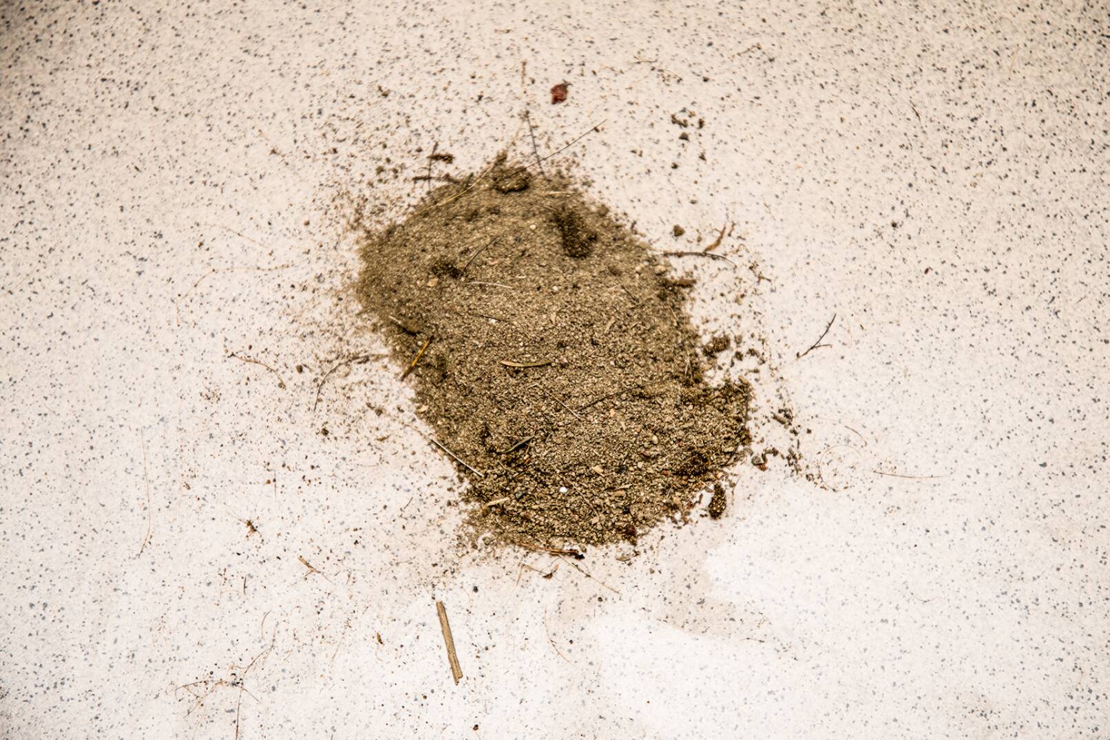 Sand aus der Sommerschwarte - Sand rieselte aus der Sommerschwarte, insgesamt mehr als 1 kg! - © Martin Grasberger