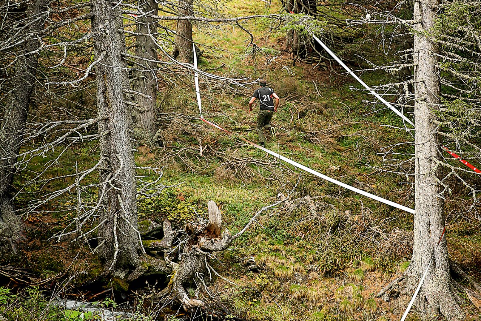 Bergauf, bergab, durch den Wald - abwechslungsreich präsentierte sich die zu absolvierende Strecke! - © Peter Rigaud