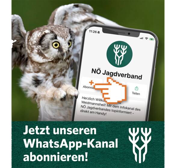 NÖ Jagdverband informiert auf WhatsApp - © NÖ Jagdverband