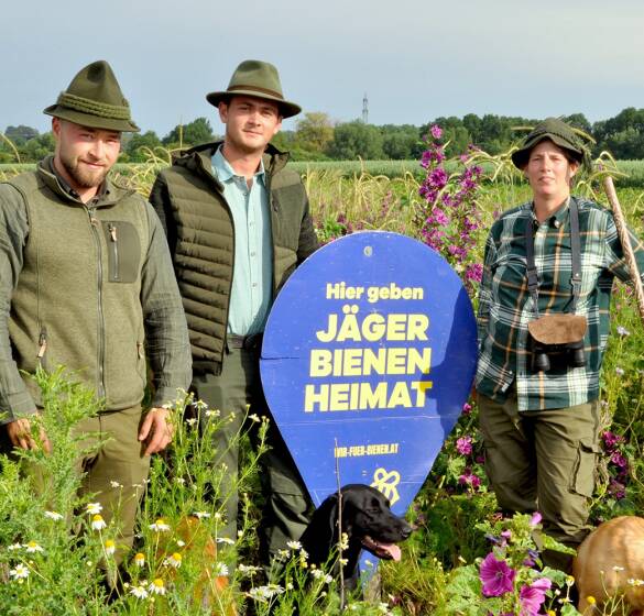 Niederwildrevier Zillingdorf - © NÖ Jagdverband