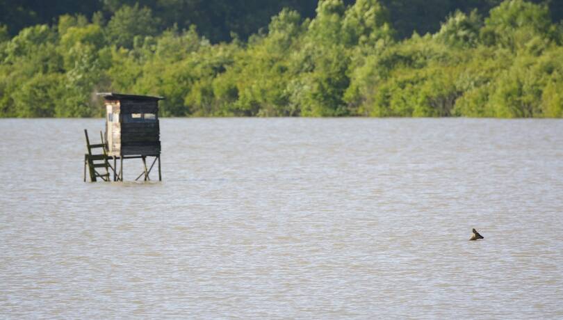 Hochwasser - © Michael Breuer