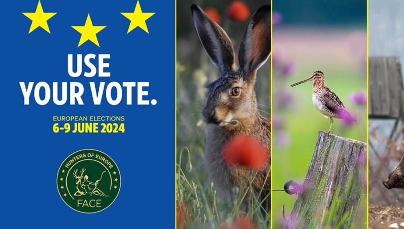 FACE - EU Parlamentswahl 2024 - © FACE