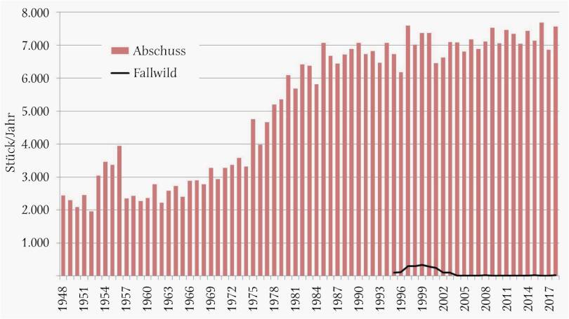 Lebensraum-Serie: Murmeltier - Jährlicher Abschuss von Murmeltieren in Österreich von 1948 bis 2018 sowie Fallwild seit 1995. Die Strecke stieg in den 1960er-Jahren, ausgehend von rund 2.300 Stück, leicht an. In den 1970er- und 1980er-Jahren erfolgte ein starker Streckenanstieg. ­Danach hielt sich die Jahresstrecke auf ­einem Niveau um etwa 7.000 Stück. Der Maximalabschuss mit 7.684 Stück wurde im Jahr 2016 dokumentiert, der geringste Abschuss im Jahr 1952 (1.959 Stück). Die Anzahl des seit 1995 erfassten Fall­wildes weist lediglich für den Zeitraum 1995 bis 2003 Werte über 90 Stück auf, mit maximal 332 Stück im Jahr 1999. ­Danach lagen die Fallwildzahlen zwischen 3 (2009) und 22 Stück (2015). - © Grafik Reimoser