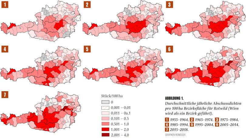 Abbildung 1 - Durchschnittliche jährliche Abschuss­dichten pro 100 ha Bezirksfläche für das Rotwild (Wien wird als Bezirk geführt). - © Grafik Reimoser