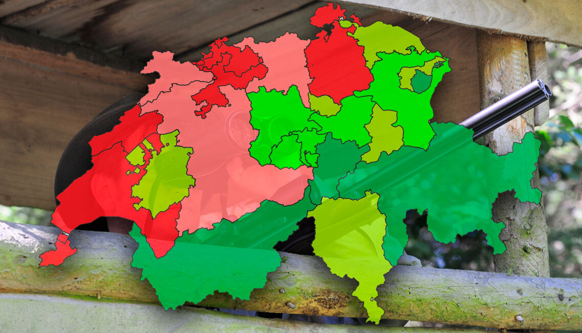 Es zeigt sich ein deutlicher Unterschied ­zwischen den dichter be­siedelten Tallagen (rot) und den weniger dicht besiedelten Bergregionen (grün). - © Karl-Heinz Volkmar