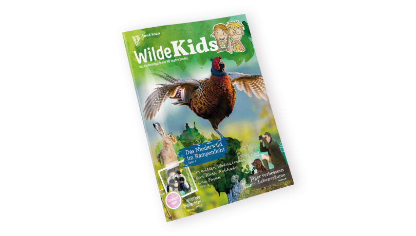 Cover "Wilde Kids" - Erste Ausgabe des Kindermagazins "Wilde Kids" mit Schwerpunkt Niederwild. - © NÖ Jagdverband