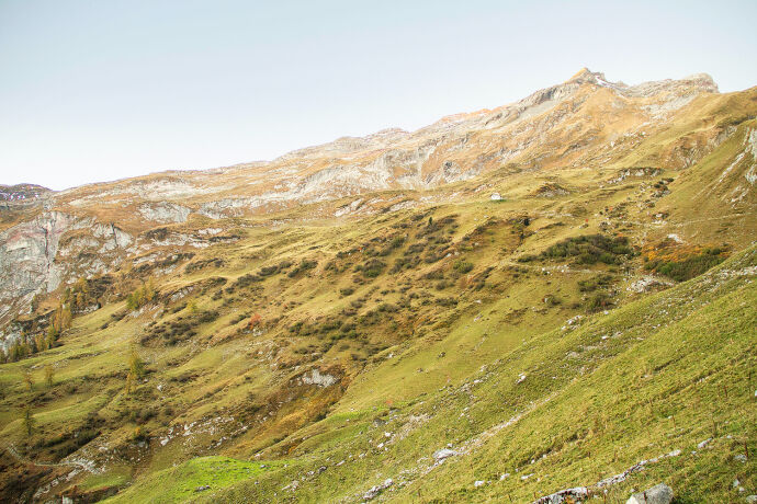 Gefährdet: die Offenlandschaft der Alpen - © Oliver Deck