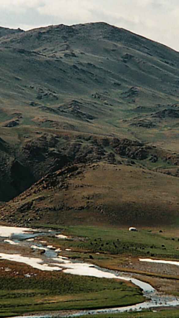Monglische Landschaft mit Mongolischen Gazellen - © Rudolf Winkelmayer
