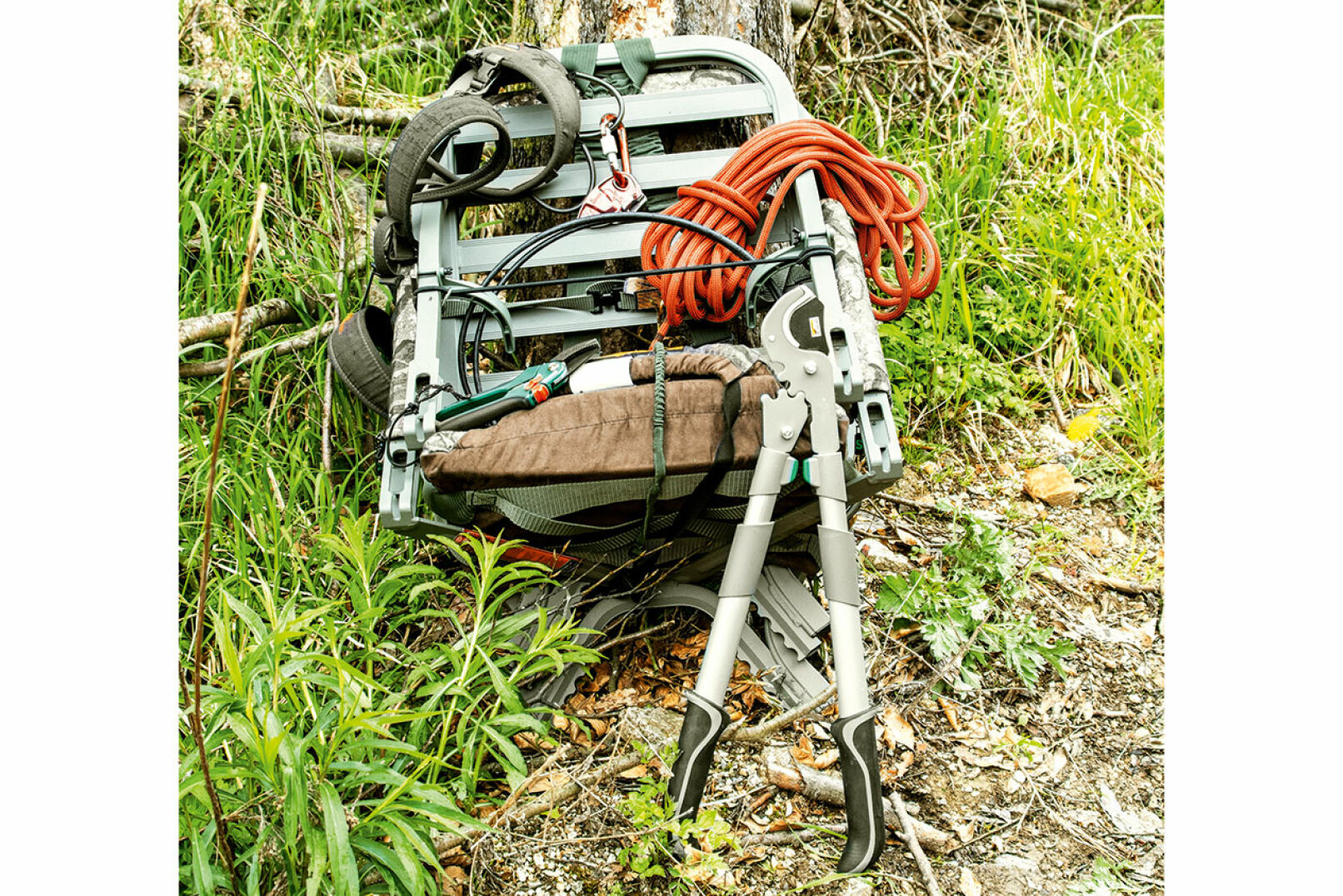 Klettersitz - Mit einer Baumschere kann bereits im Vorfeld entastet werden, um beim tatsächlichen Einsatz möglichst zügig und leise ­klettern zu können. - © Martin Grasberger
