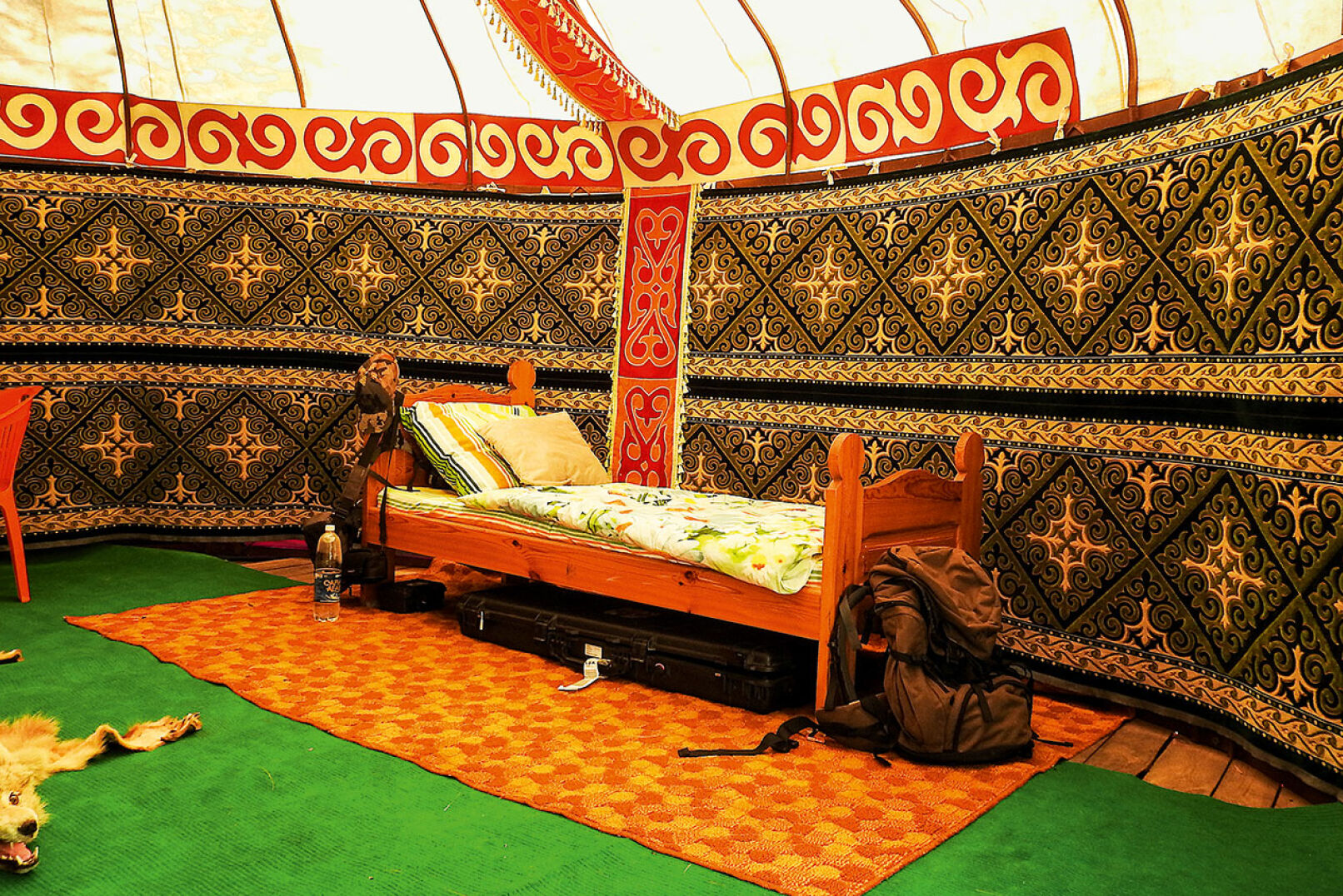 Fast schon ein Hirsch - Kasachstan - Yurten-Camp von innen.