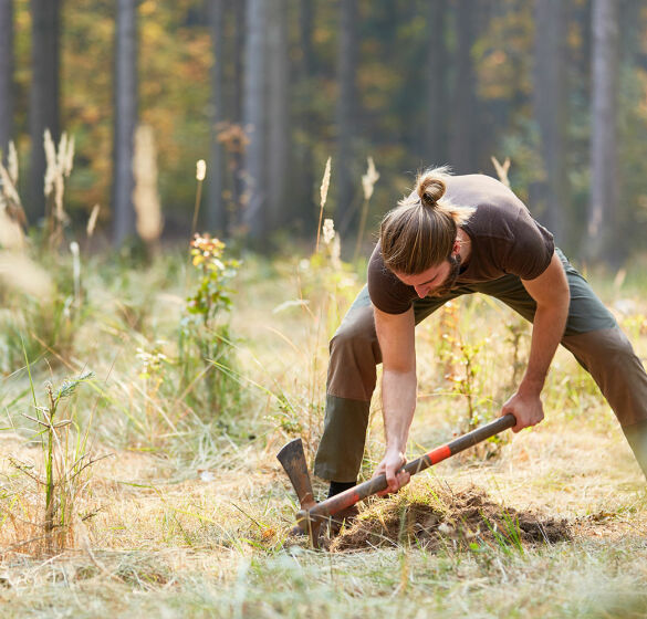 Jägerinnen und Jäger pflanzen Bäume und Sträucher und tragen so zur Waldgesundheit bei. - © stock.adobe.com