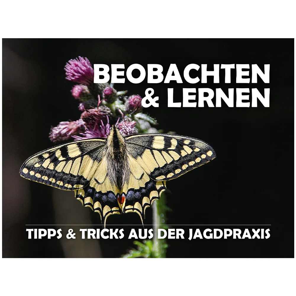 Foto WEIDWERK-Archiv