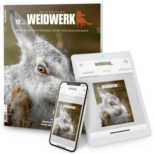 Jahresabo WEIDWERK