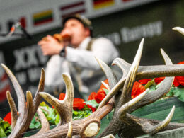 Nahaufnahme eines Hirschgeweihs mit unscharfem Teilnehmer beim Rufen im Hintergrund