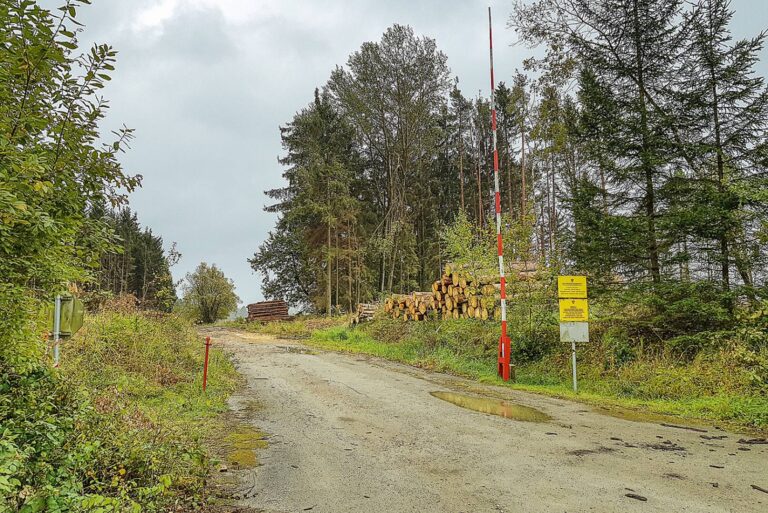Forststraße mit Schranke und Holzstapeln am Waldrand.