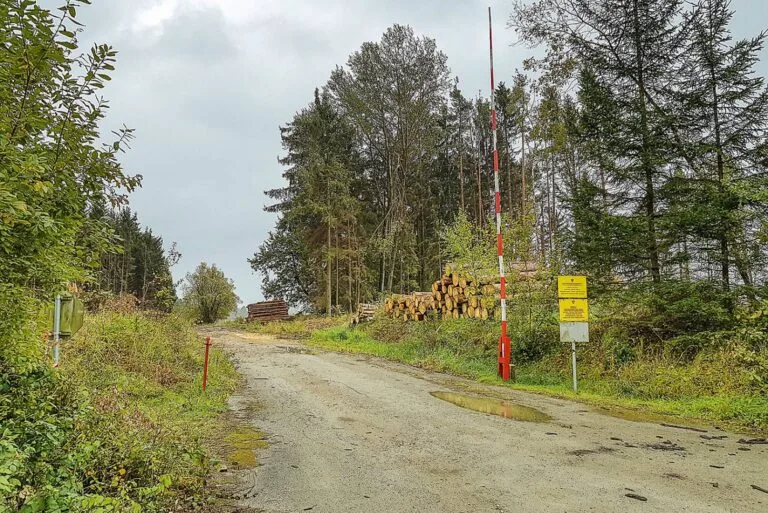 Forststraße mit Schranke und Holzstapeln am Waldrand.