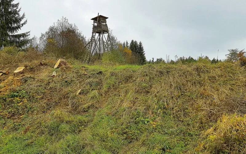 Hochstand auf einer Anhöhe mit freiem Sichtfeld für die Jagd.