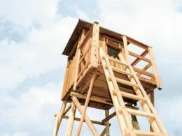 Hochsitz aus Holz mit stabiler Leiter unter blauem Himmel.