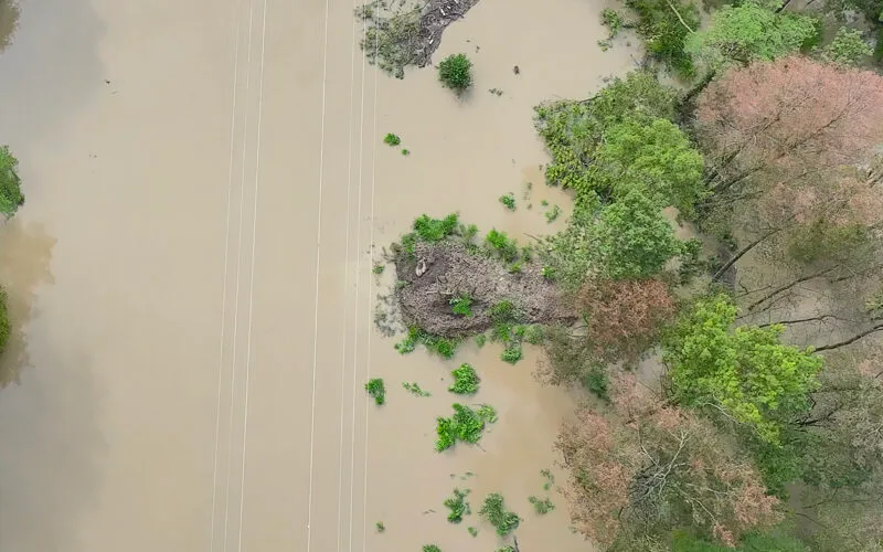 Das Wild rettet sich bei Hochwassern auf von Jägern geschaffenen Rettungsinseln, wo es nicht nur überlebt, sondern auch Ruhe findet.