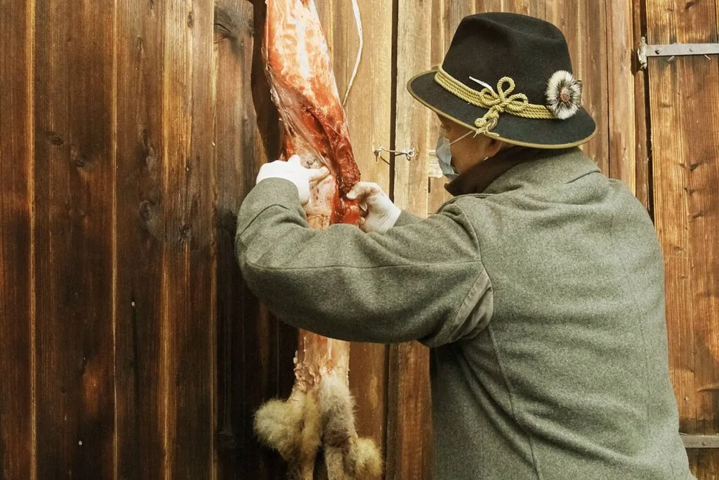 Alternativtext: Jäger in traditioneller Kleidung zieht einem erlegten Fuchs fachgerecht das Fell ab, während das Tier an einer Holzwand hängt