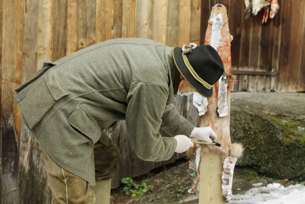 Jäger in traditioneller Kleidung bearbeitet das Fell eines erlegten Fuchses auf einem Balgabziehbrett im Freien