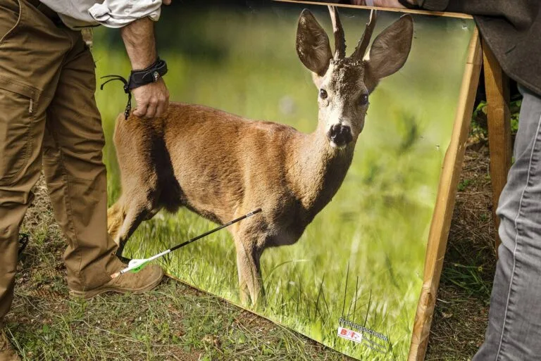 Ein Bogenschütze bindet ein Zielbild mit einem Reh in der Jagdausbildung auf.