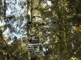 Weidgerechte Bogenjagd - Ein Jäger im Tarnanzug sitzt auf einem Hochsitz, bereit für die Bogenjagd im Wald.