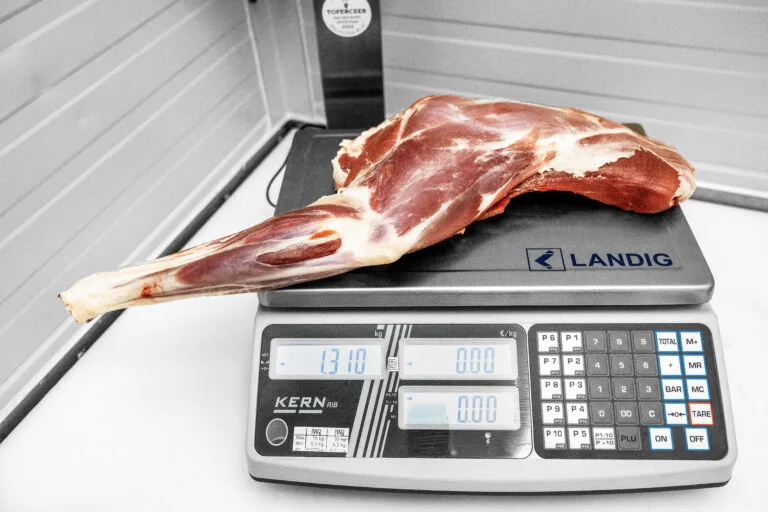 Der linke Vorderlauf des Gamsjahrlings wiegt mit Knochen 1,3 kg.