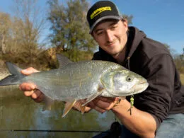 Angler präsentiert gefangenen Rapfen, im Maul hängt ein Jigspinner