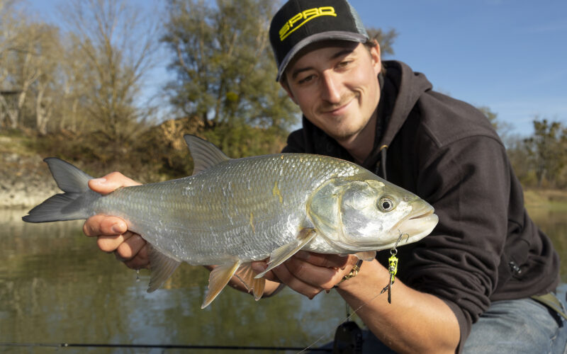 Angler präsentiert gefangenen Rapfen, im Maul hängt ein Jigspinner