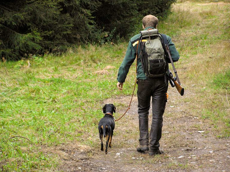 Jäger geht mit angeleinter Hündin auf einem Waldweg zur Jagd.