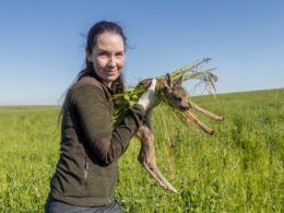 Junge Frau trägt gerettetes Rehkitz mit Tarnung aus Gras über einer Wiese an einem sonnigen Tag.