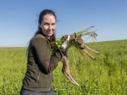 Junge Frau trägt gerettetes Rehkitz mit Tarnung aus Gras über einer Wiese an einem sonnigen Tag.