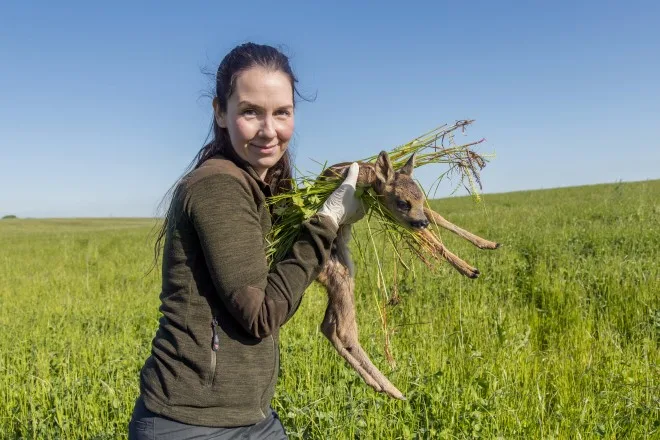 Junge Frau trägt gerettetes Rehkitz mit Tarnung aus Gras über einer Wiese an einem sonnigen Tag.