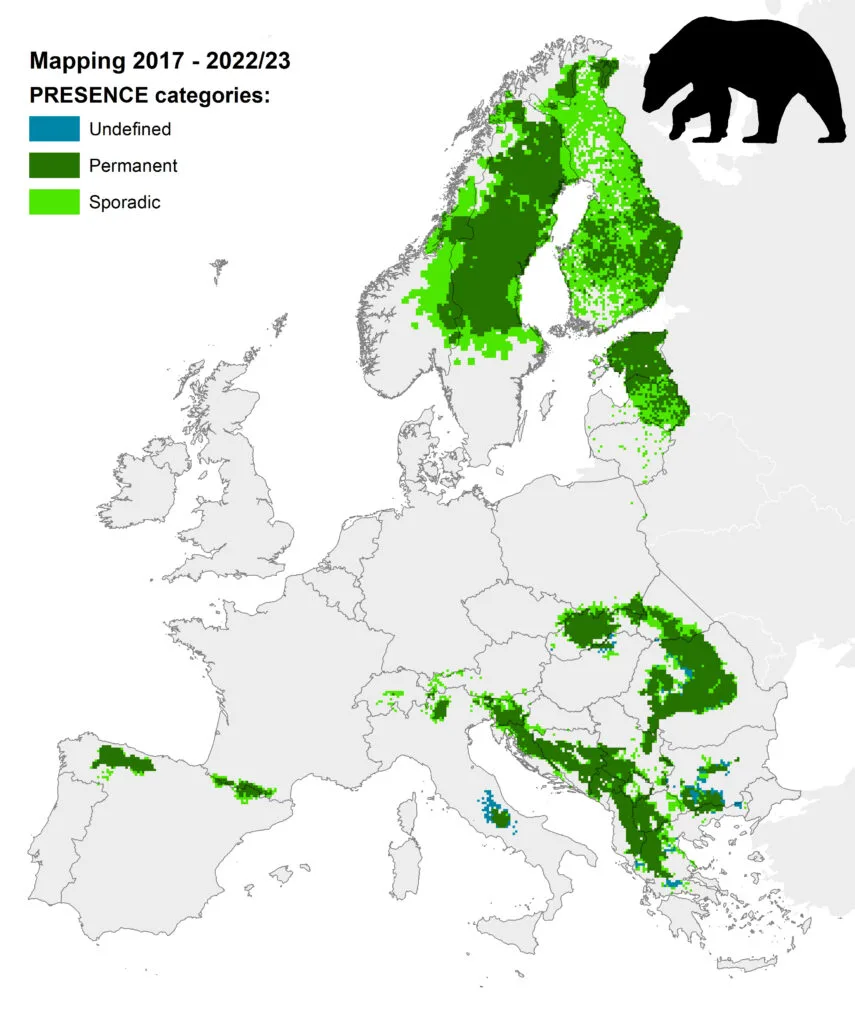 Karte zur Verbreitung des Braunbären in Europa (2017–2023)
