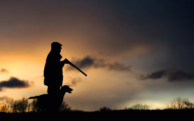 Jäger mit Jagdhund im Sonnenuntergang – Silhouettenaufnahme