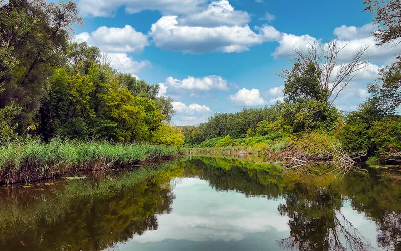 Unberührte Donau-Auenlandschaft mit Spiegelung im Wasser unter blauem Himmel
