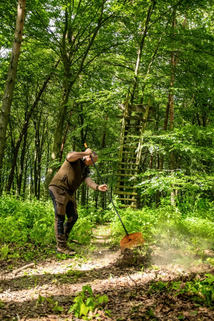 Ein Jäger säubert mit einem Besen einen Birschweg im dichten Laubwald bei Tageslicht.