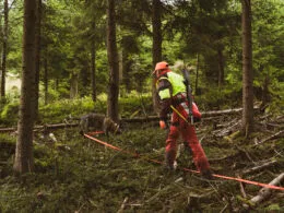 Nachsuchenführer mit Schweißhund bei der Arbeit im dichten Wald, mit Schweißriemen und Sicherheitskleidung