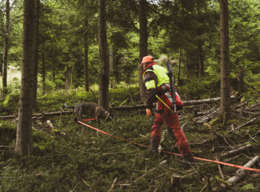 Nachsuchenführer mit Schweißhund bei der Arbeit im dichten Wald, mit Schweißriemen und Sicherheitskleidung