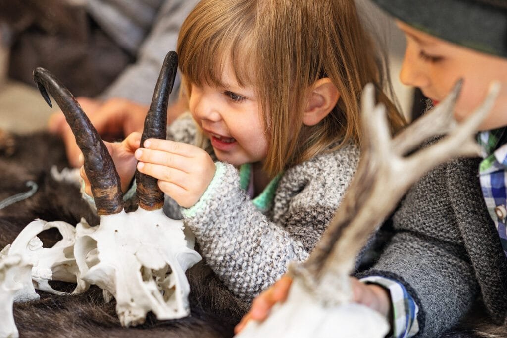 Kinder sind mit großer Aufregung und höchstem Interesse dabei: Vom Gams bis zum Hasen ziehen alle heimischen Wildtiere in den Naturwelten Steiermark ihre Fährten! Foto Naturwelten Steiermark