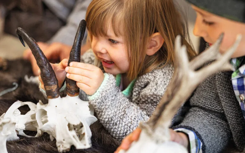 Kinder sind mit gro&szlig;er Aufregung und h&ouml;chstem Interesse dabei: Vom Gams bis zum Hasen ziehen alle heimischen Wildtiere in den Naturwelten Steiermark ihre F&auml;hrten! Foto Naturwelten Steiermark