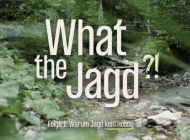Neue Mini-Doku von Jagd Österreich mit dem Titel "What the Jagd?"