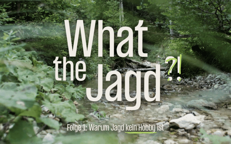 Neue Mini-Doku von Jagd Österreich mit dem Titel "What the Jagd?"