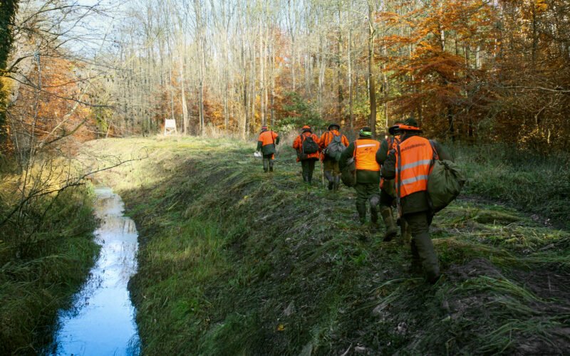 Anstellen der Schützen bei Riegeljagd