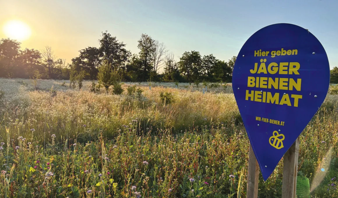 Feld mit Schild: "Hier geben J&auml;ger Bienen Heimat"