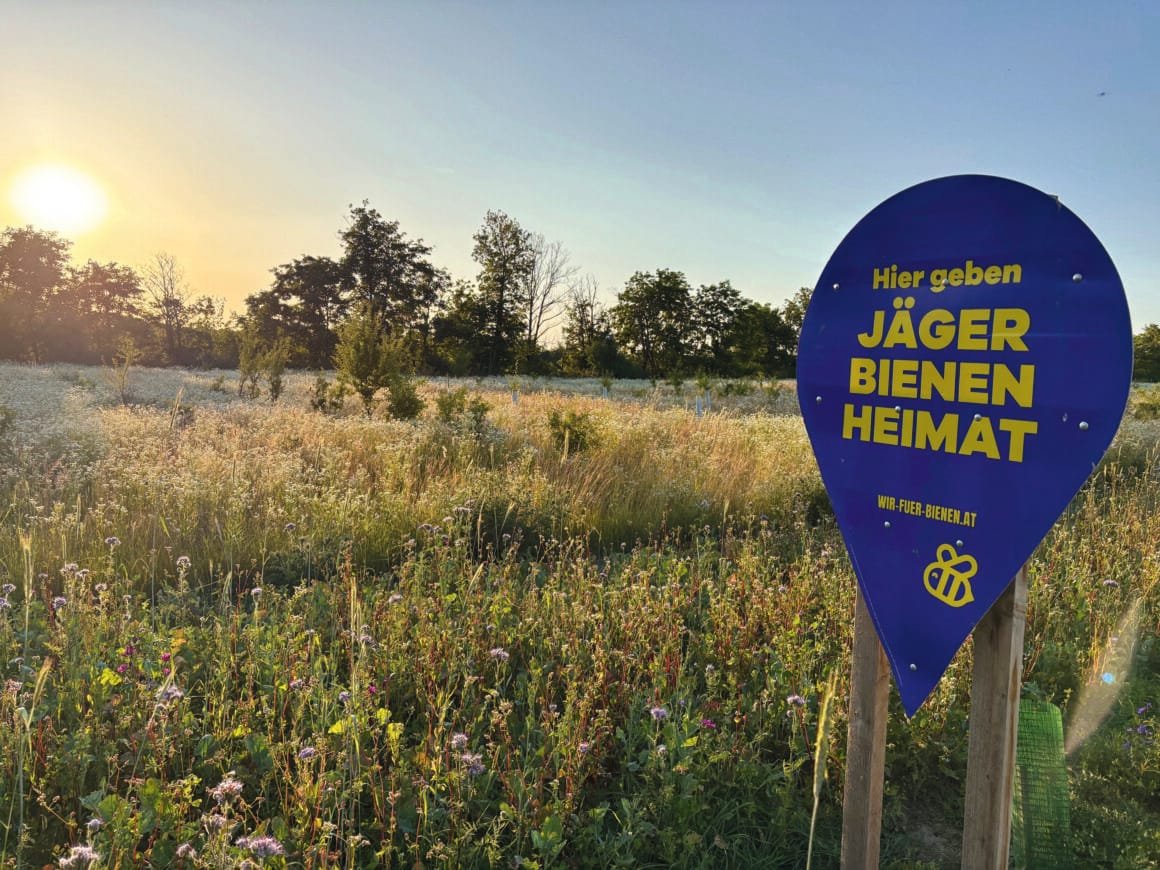 Feld mit Schild: "Hier geben J&auml;ger Bienen Heimat"