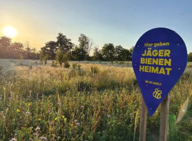 Feld mit Schild: "Hier geben J&auml;ger Bienen Heimat"