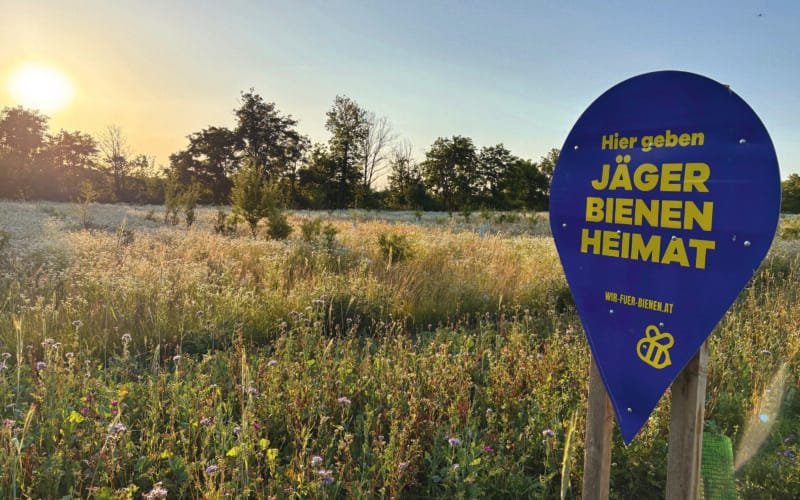 Feld mit Schild: "Hier geben Jäger Bienen Heimat"